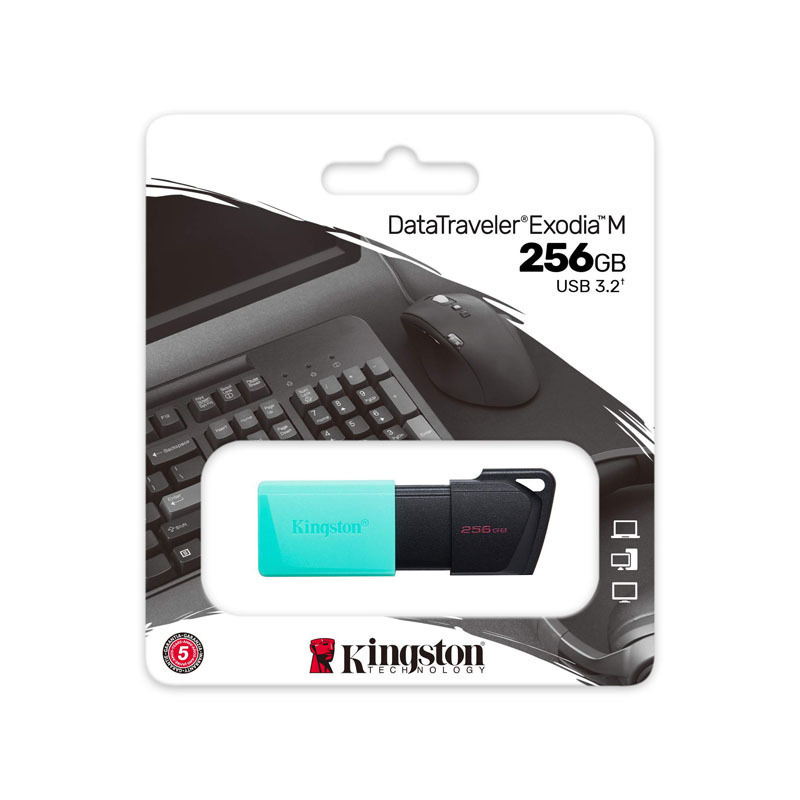 KINGSTON DATA TR EXODIA S 256G